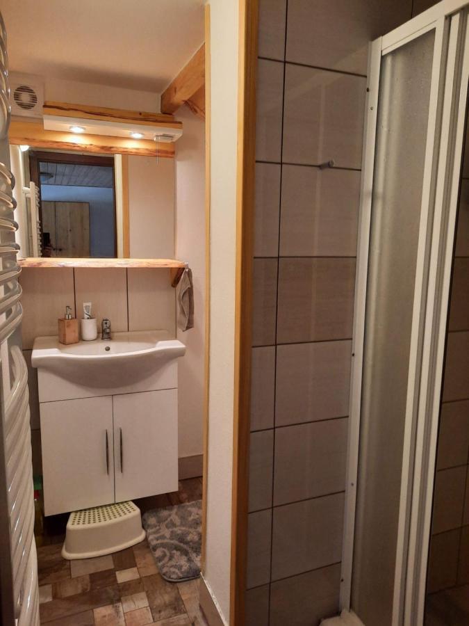 Spicak - U Barabu Apartment Zelezna Ruda Exterior photo