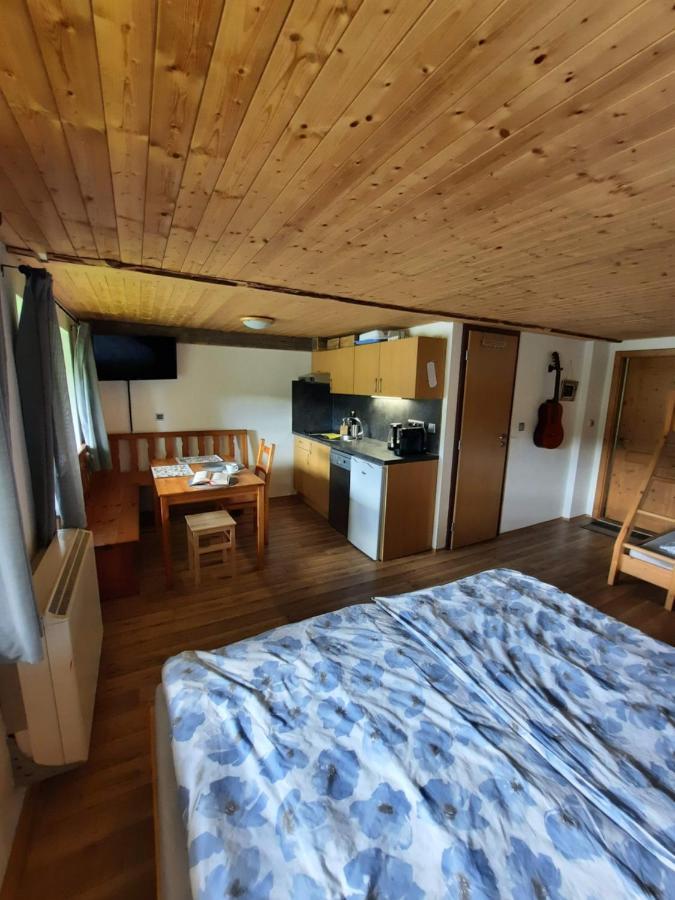 Spicak - U Barabu Apartment Zelezna Ruda Exterior photo